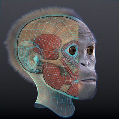 IMG_3D_reconstruct_post_sharpen