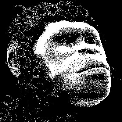 Face de uma reconstrução facial se convertendo em um Australopithecus afarensis. Modelo originalmente criado no MakeHuman e posteiormente deformado no Blender com o shapekeys.