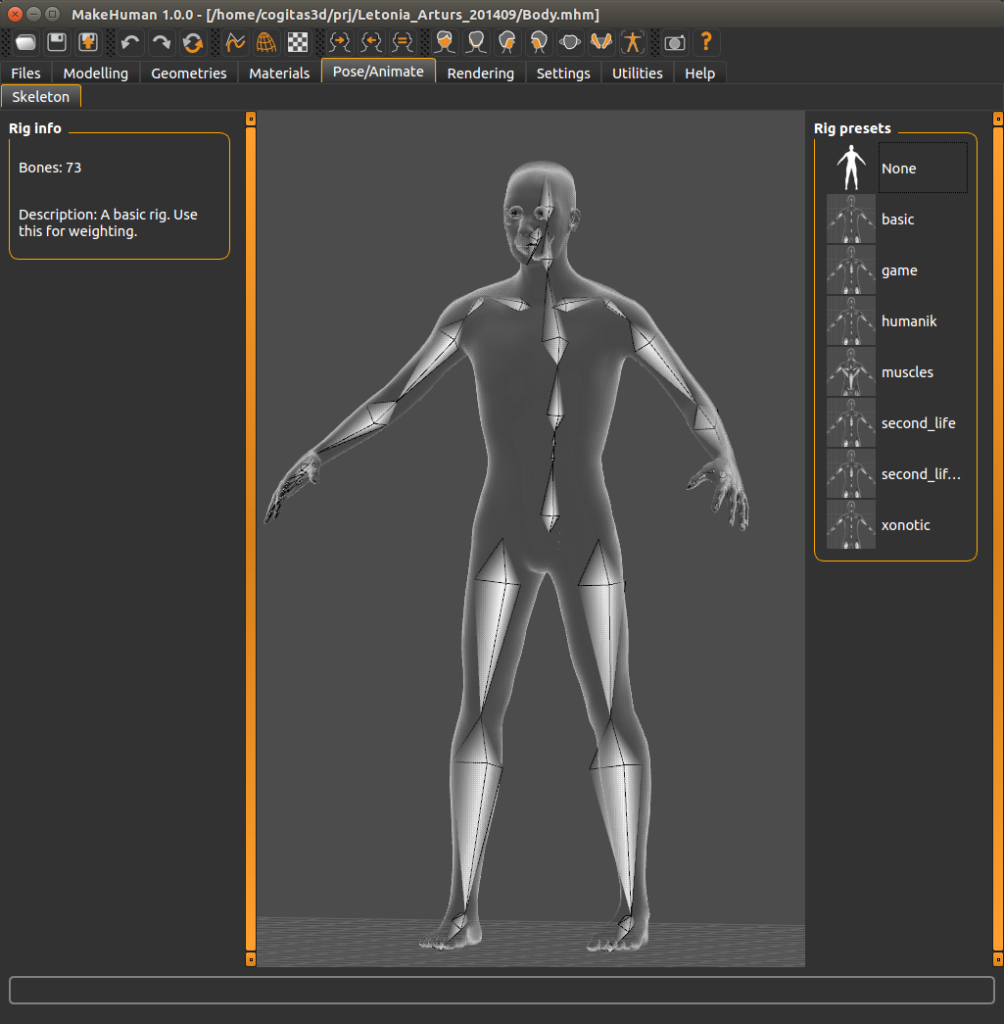 Estrutura de bones previamente configurada no software MakeHuman