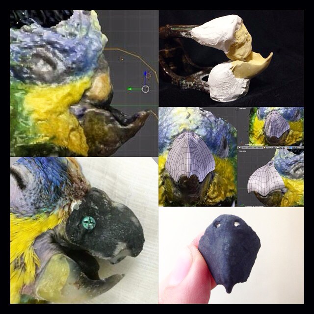 12247199_957930560938698_4515299572272873204_n