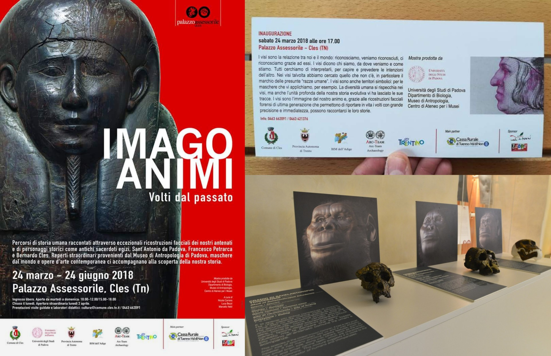 _images/Imago.jpg